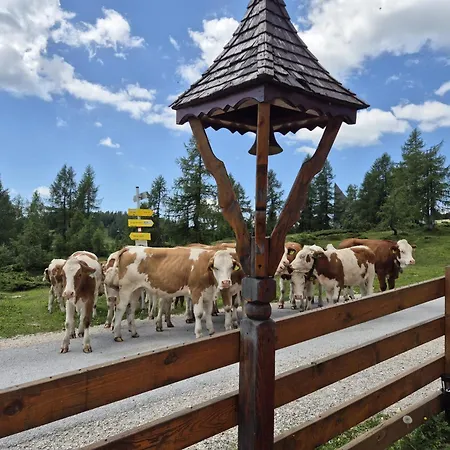 Tauplitzhaus Der Naturfreunde - Naturfreundehaus Auf Der Tauplitzalm イン