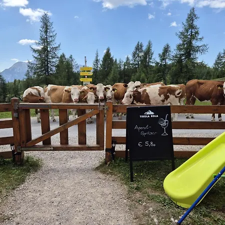 イン Tauplitzhaus Der Naturfreunde - Naturfreundehaus Auf Der Tauplitzalm *