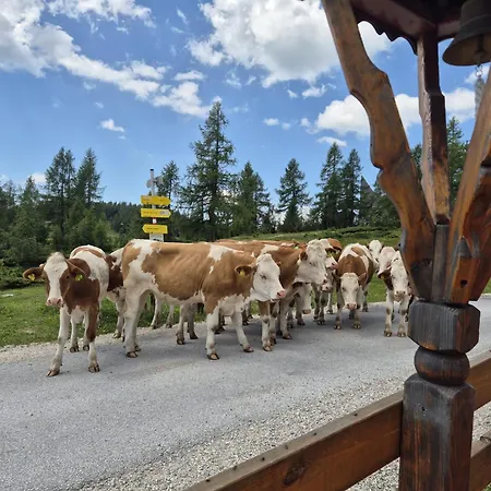 イン Tauplitzhaus Der Naturfreunde - Naturfreundehaus Auf Der Tauplitzalm Tauplitzalm