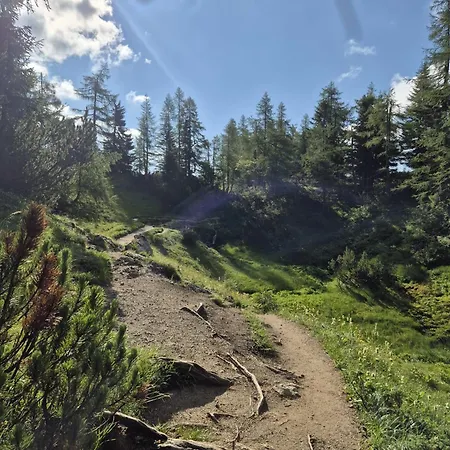 イン Tauplitzhaus Der Naturfreunde - Naturfreundehaus Auf Der Tauplitzalm Tauplitzalm