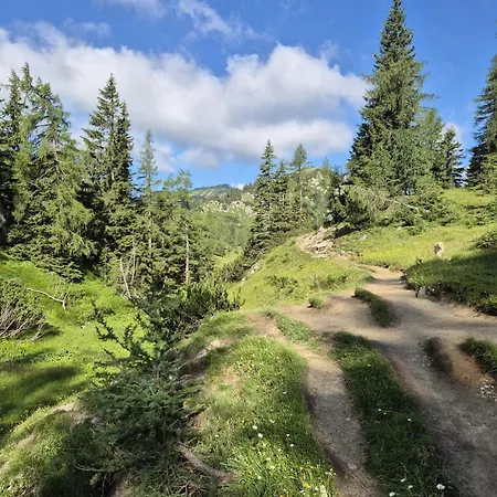 イン Tauplitzhaus Der Naturfreunde - Naturfreundehaus Auf Der Tauplitzalm